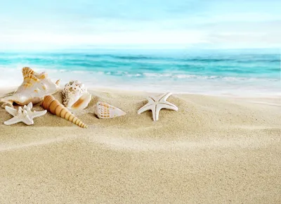 HD Beach Background