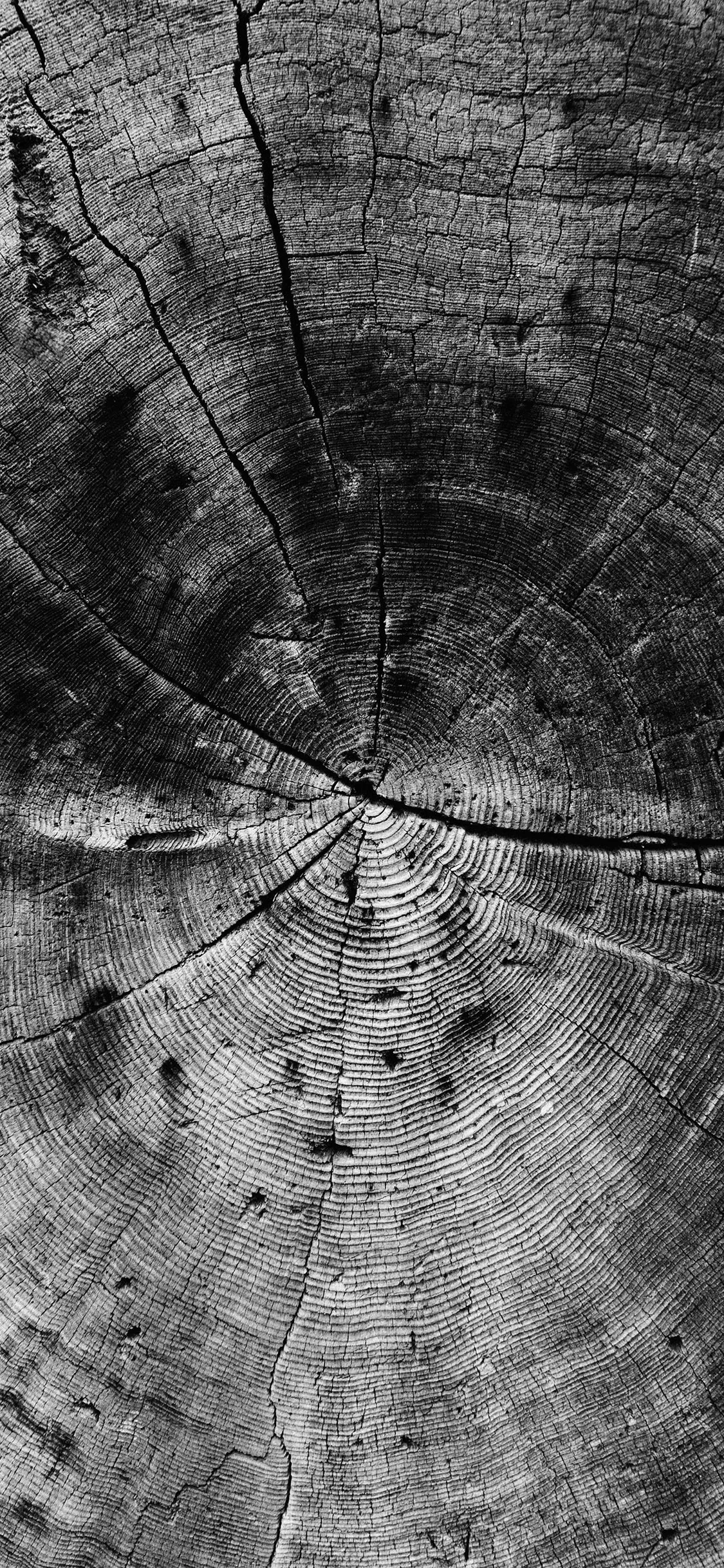 Wood Line Texture Old Dark Pattern Bw iPhone Wallpaper