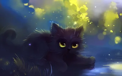 Black kitten wallpaper Artistic wallpapers #