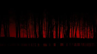 Bare Tree Line Against a Deep Red Sky HD Wallpaper