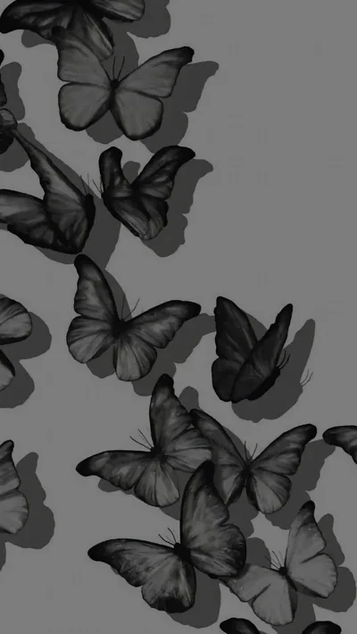 Black and White Girly Wallpaper