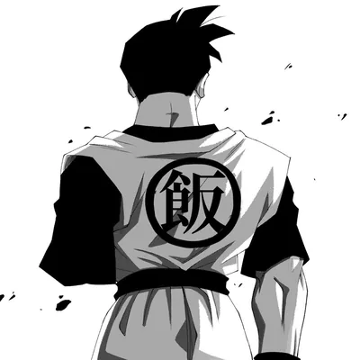 Gohan all black fit