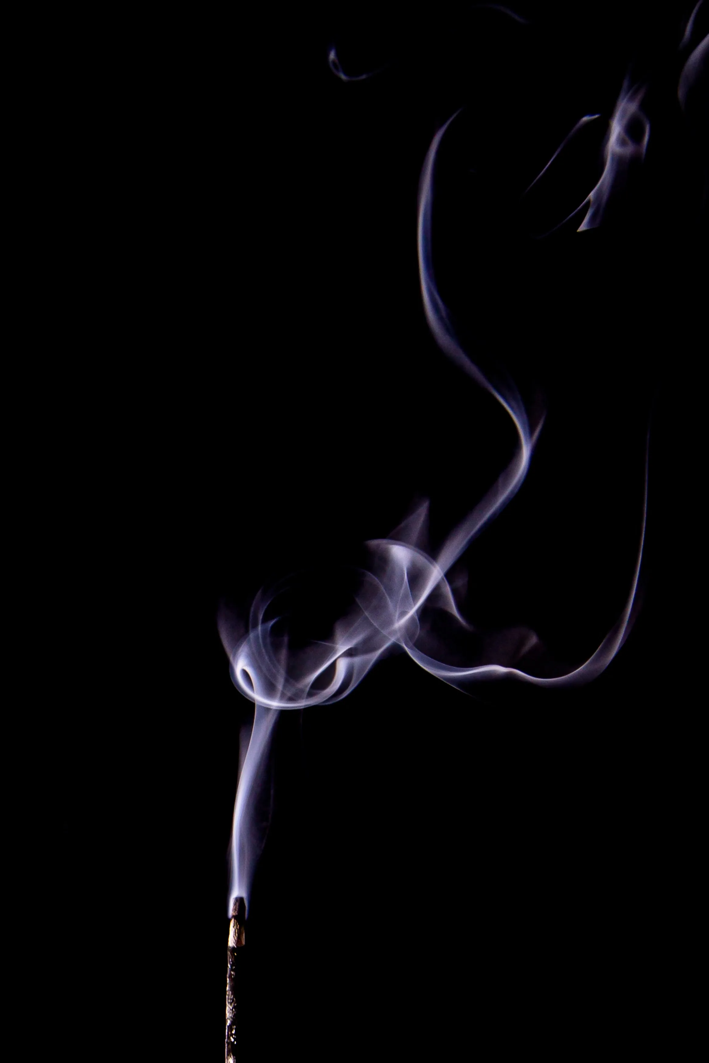 An incense stick pokes in at the lower left, its thin trail bending right and doubling back, lit softly from the left.