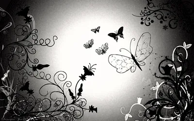 Black Butterfly Background images