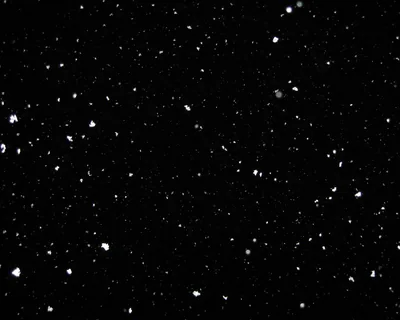 White Specks Scattered on Black HD Wallpaper