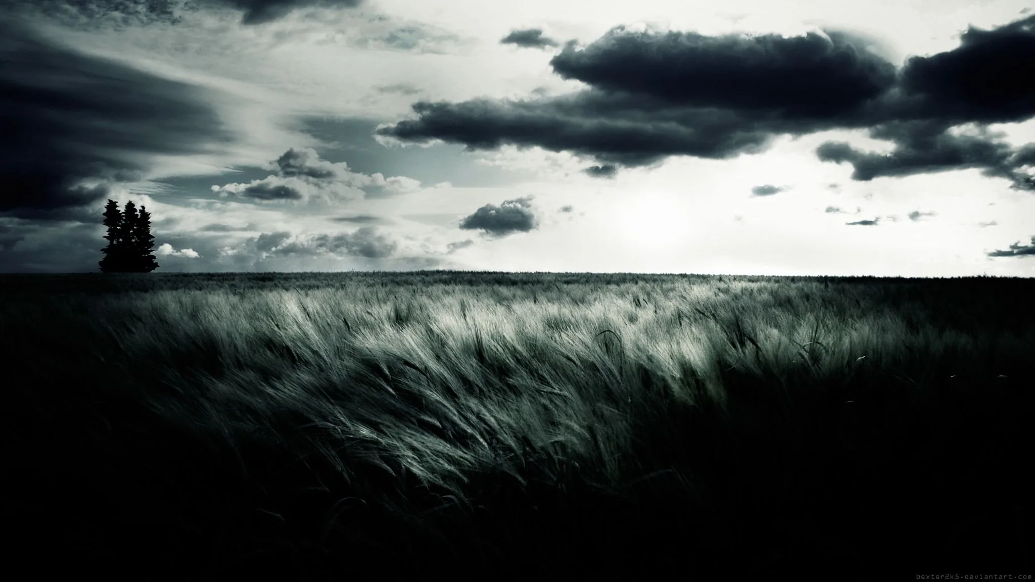 Wind combs a wide field of wheat while heavy cloud presses down, a small cluster of trees breaking the horizon on the left.