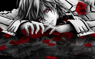 Anime Boy with a Red Rose HD Wallpaper