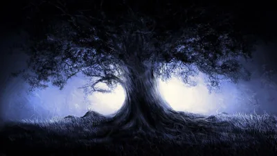 Old Tree Silhouette in Blue Mist HD Wallpaper