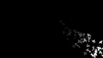 White Leaves Scattered on Black HD Wallpaper