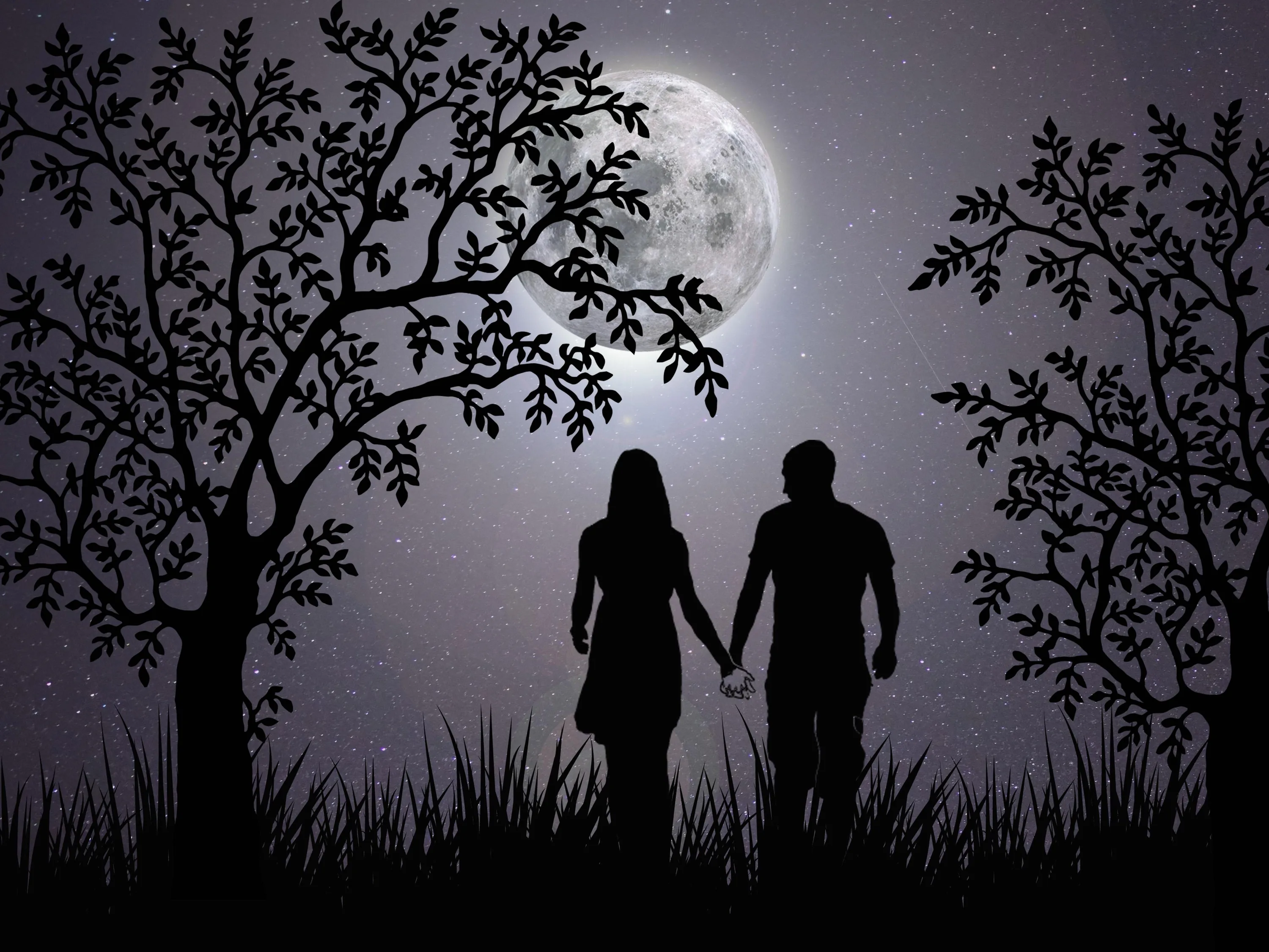 Illustrated night walk between two leafy tree silhouettes, a shaded moon high on the left and the pair crossing moonlit grass at the centre of the frame.