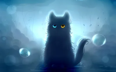 wallpaper, heterochromia, black, art widescreen hd bac