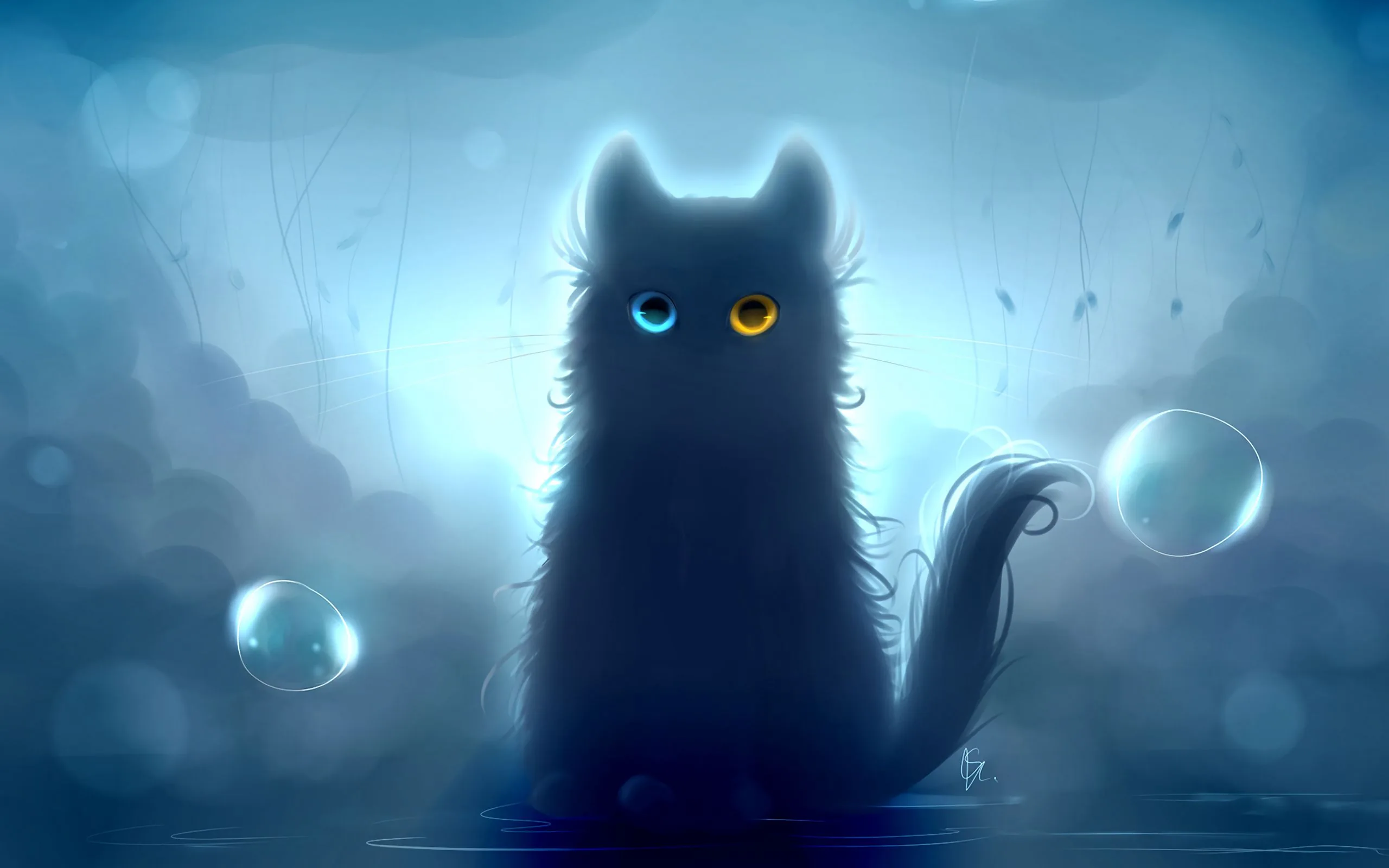 wallpaper, heterochromia, black, art widescreen hd bac