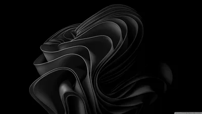Windows 11 Ribbon in Black HD Wallpaper