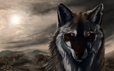 Black Cool Wolf Wallpapers