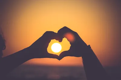 Free Images hand, outdoor, silhouette, light, sun, sunrise, sunset, sunlight, morning