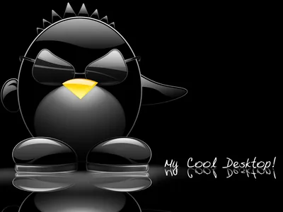 Cool Wallpapers for My Computer