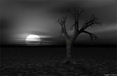 Dark Serenity HD Wallpaper of a Haunting Landscape