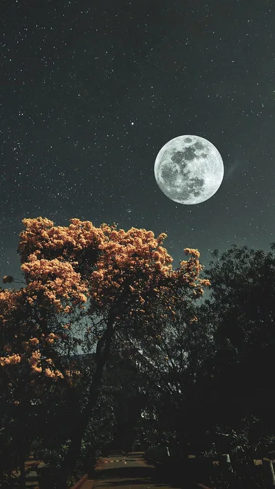 Full Moon Aesthetic Anime Wallpaper