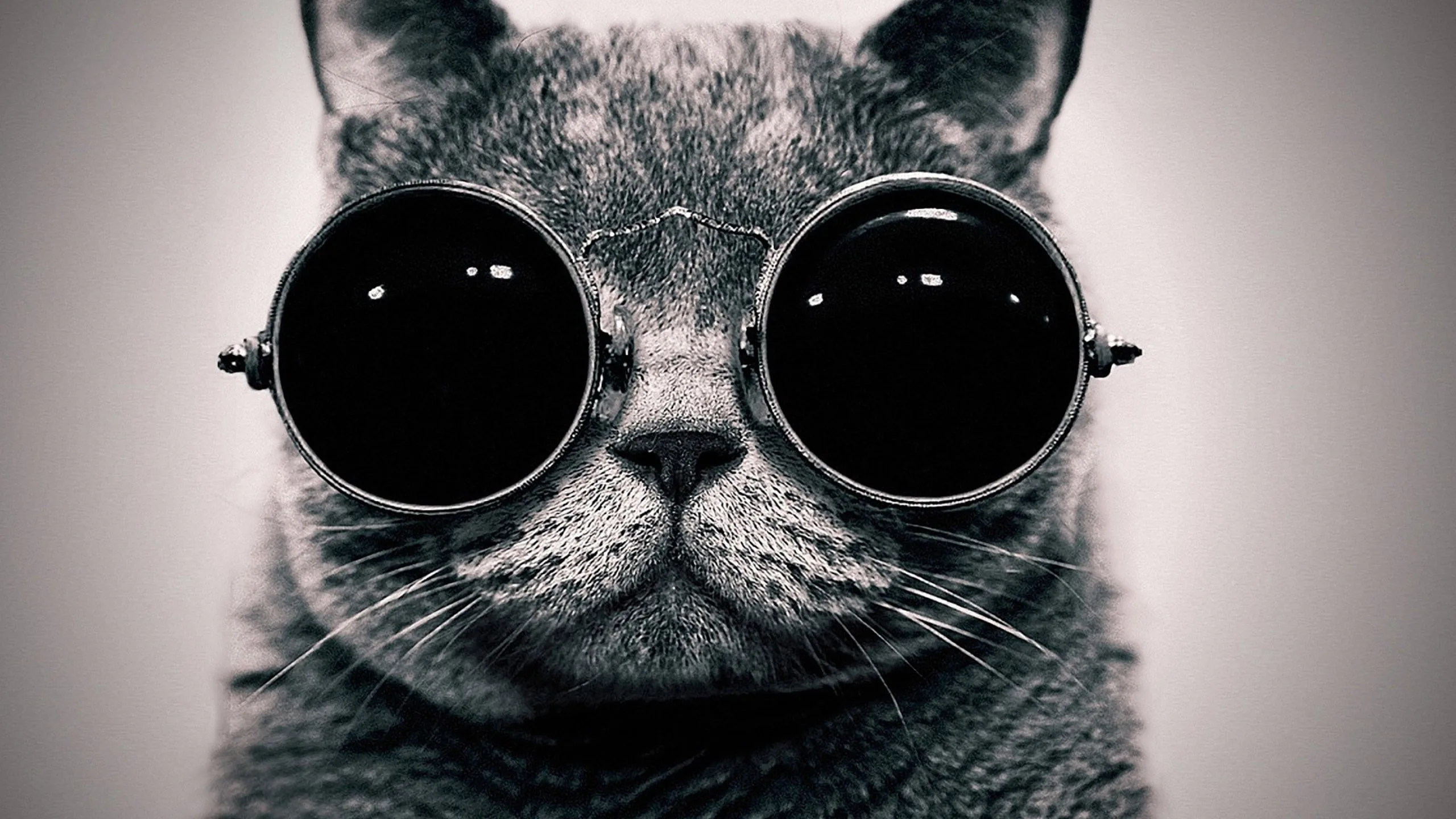 sunglasses black Wallpapers HD Desktop and Mobile Backgrounds