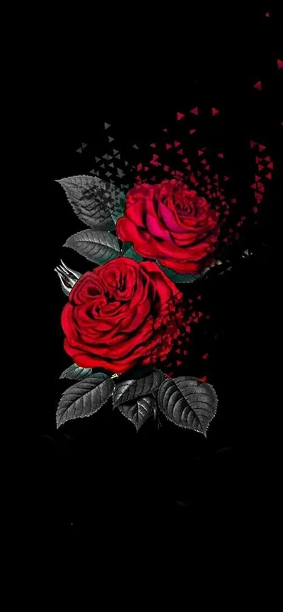 Red Roses with Scattered Petals HD Phone Wallpaper