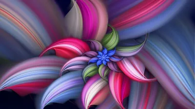 Fractal Flower with Swirling Petals HD Wallpaper