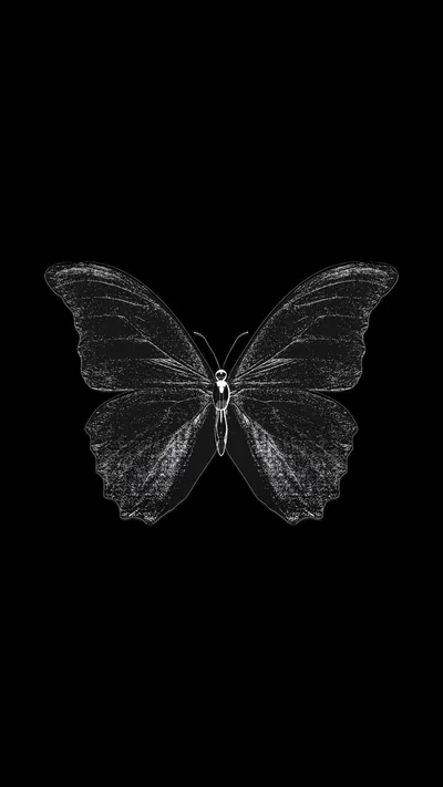 Black Wallpaper