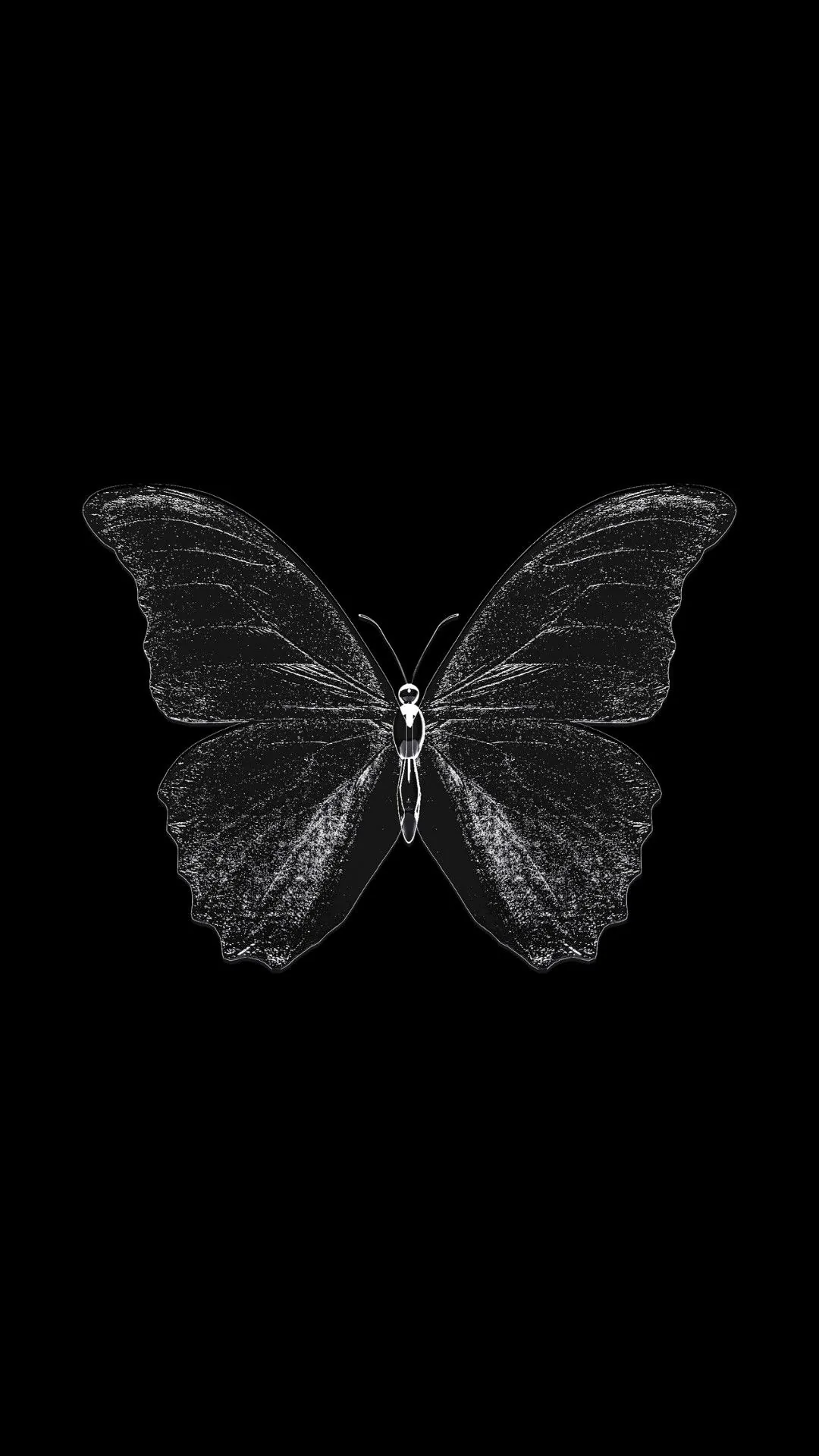 Fine silver strokes sketch one butterfly at the middle of a tall black frame, the top and bottom quarters left pure black for clock and dock.