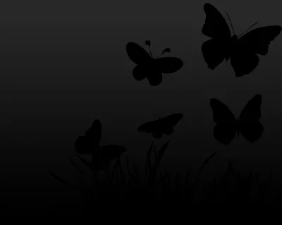 Butterfly Silhouettes Over Dark Grass HD Wallpaper