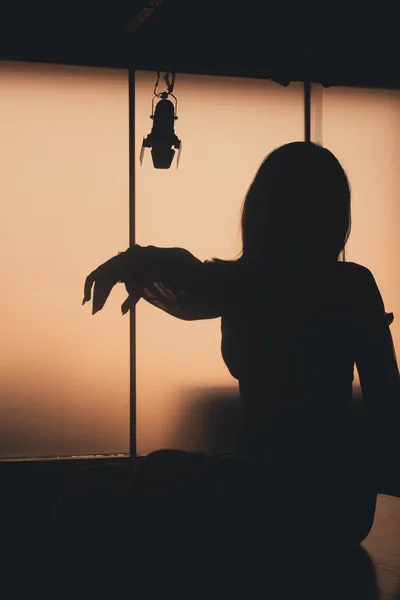 Silhouette of Woman Free Stock Photo