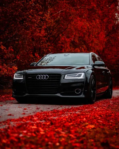Black Audi S8 iPhone Wallpapers