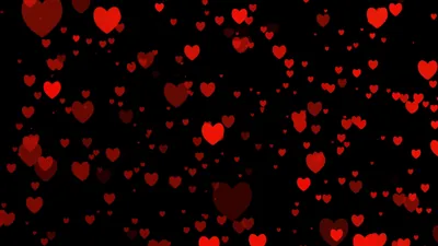 Scattered Red Hearts on Black HD Wallpaper