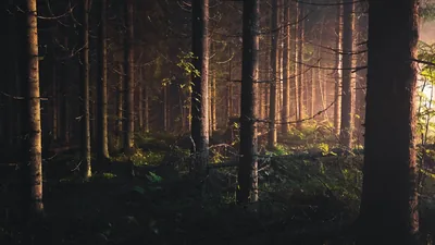 Black Wallpaper Landscape Background