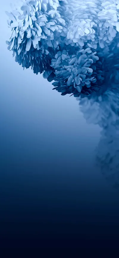 Steel Blue Petal Cascade HD Phone Wallpaper