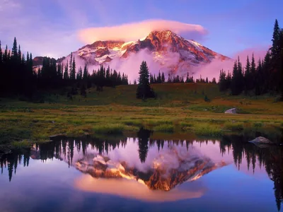 Snowy Peak Mirrored in a Meadow Pond HD Wallpaper