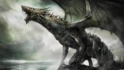 Cool Dragon Wallpapers