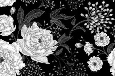 Engraved White Peonies on Black HD Wallpaper