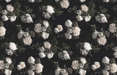 Faded White Peonies Repeat Pattern HD Wallpaper