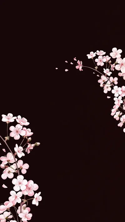 Black High Resolution Downloadable Wallpaper Design Space Images