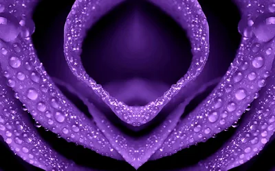Purple Background