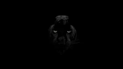 Free Panther 4K Wallpapers & Desktop HD Backgrounds for PC