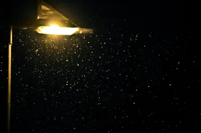 Amber Lamp Lighting Falling Snow HD Wallpaper