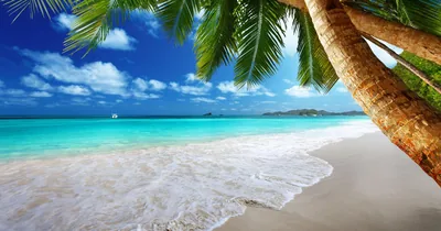 4K Beach Wallpapers 4K Beach Backgrounds