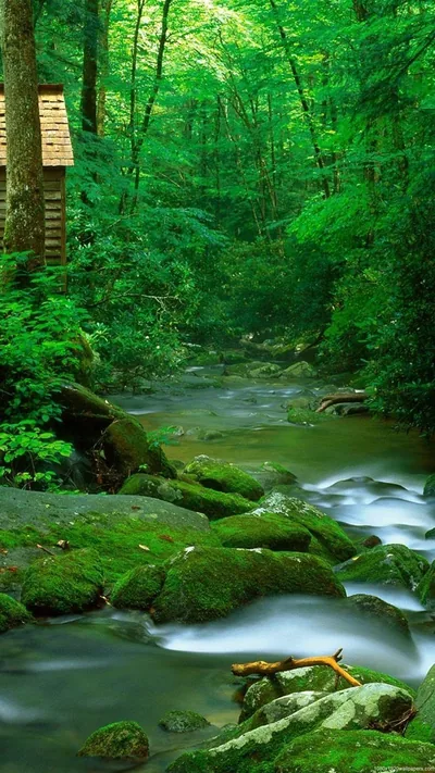 Android Nature Wallpapers Android Nature Backgrounds