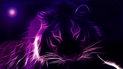 Purple Desktop Wallpapers