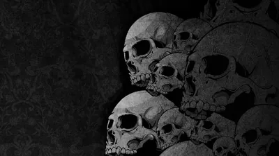 Five Skulls Against a Dark Wall HD Wallpaper