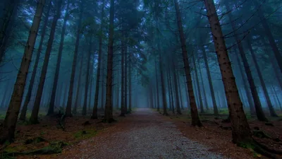 Dark Wood Desktop Wallpaper images