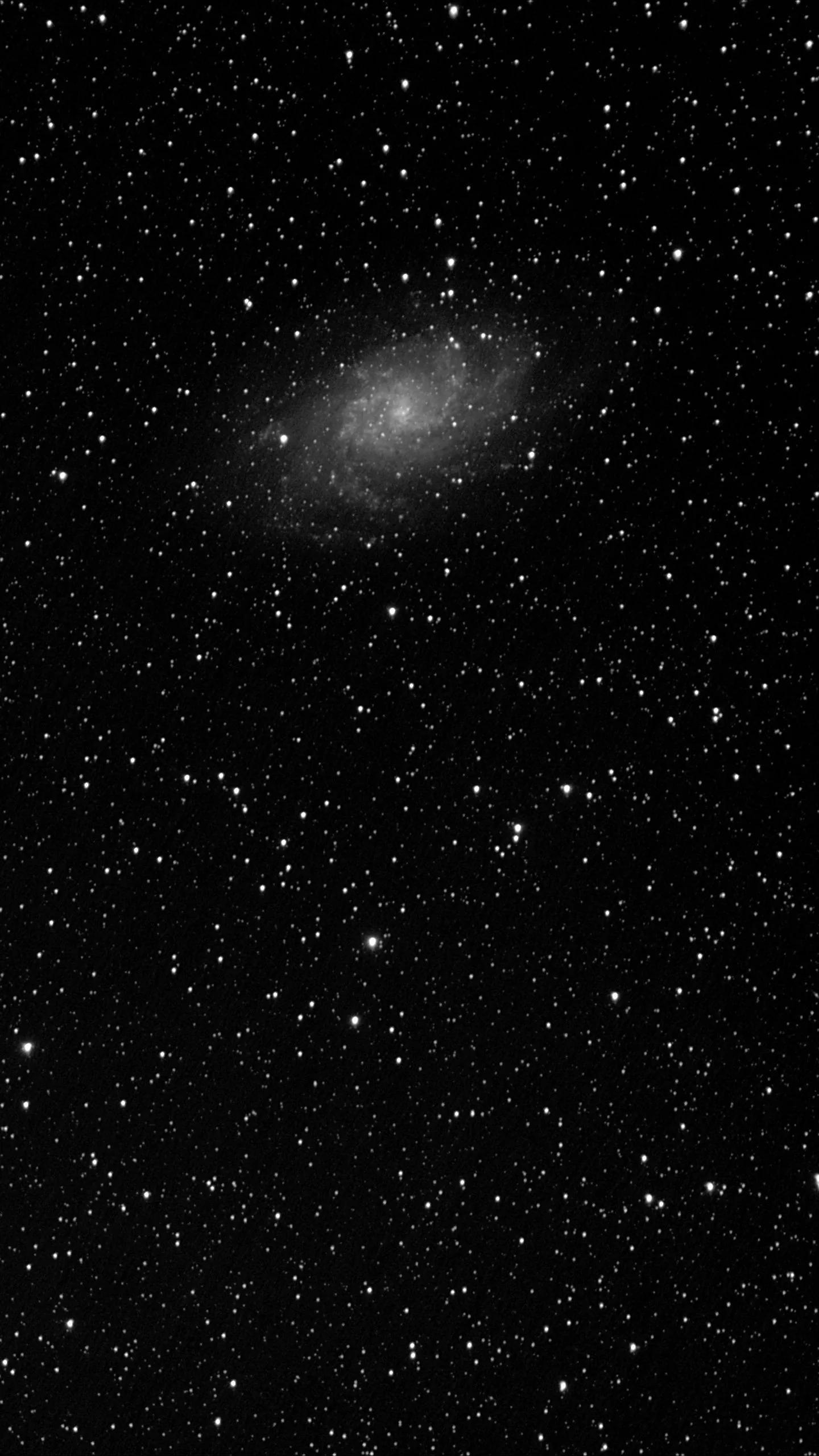 A black and white star field with one small spiral galaxy sitting in the upper third, the lower half left to plain speckled black.