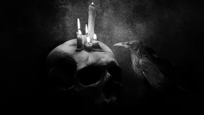 Skull with Candles and a Raven HD Wallpaper