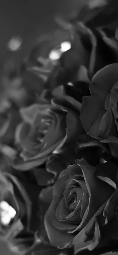Flower With Diamond Dark Bw Love Propose iPhone Wallpaper