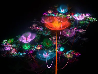 Glowing Fractal Flowers on Black HD Wallpaper